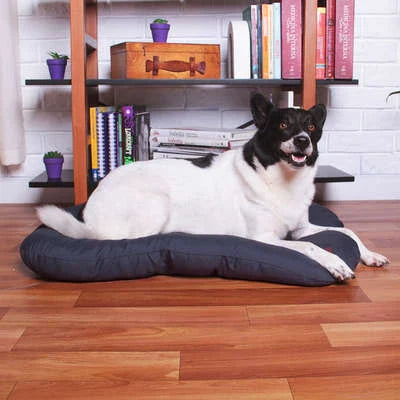 Almofada Retangular Meau Cinza