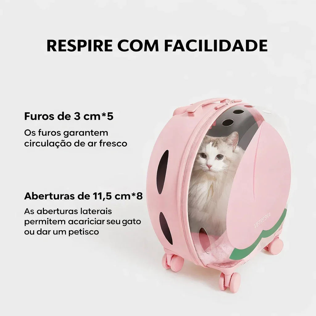 Bolsa de Transporte com rodinhas