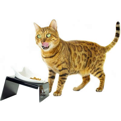 Comedouro CatMyPet Snack Cat Vermelho