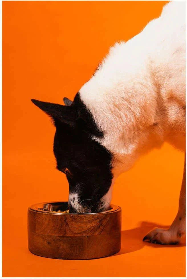 Comedouro de Inox e Madeira Meau para Cães