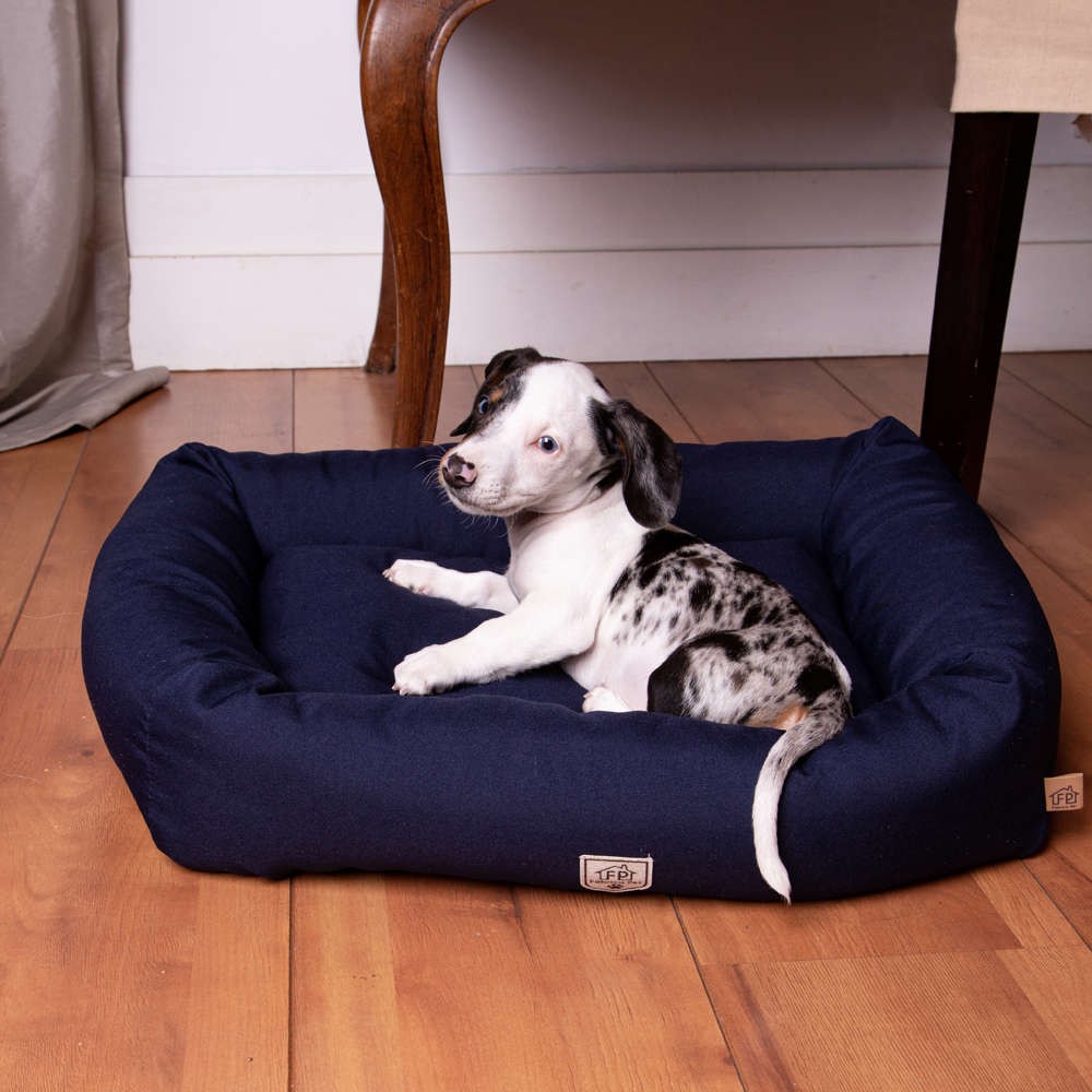 Cama Retangular Fábrica Pet Marinho