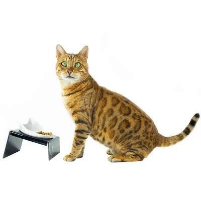 Comedouro CatMyPet Snack Cat Vermelho