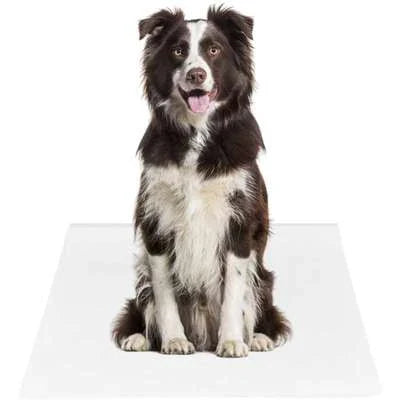 Jornal Higiênico Pet´s Paper Liso