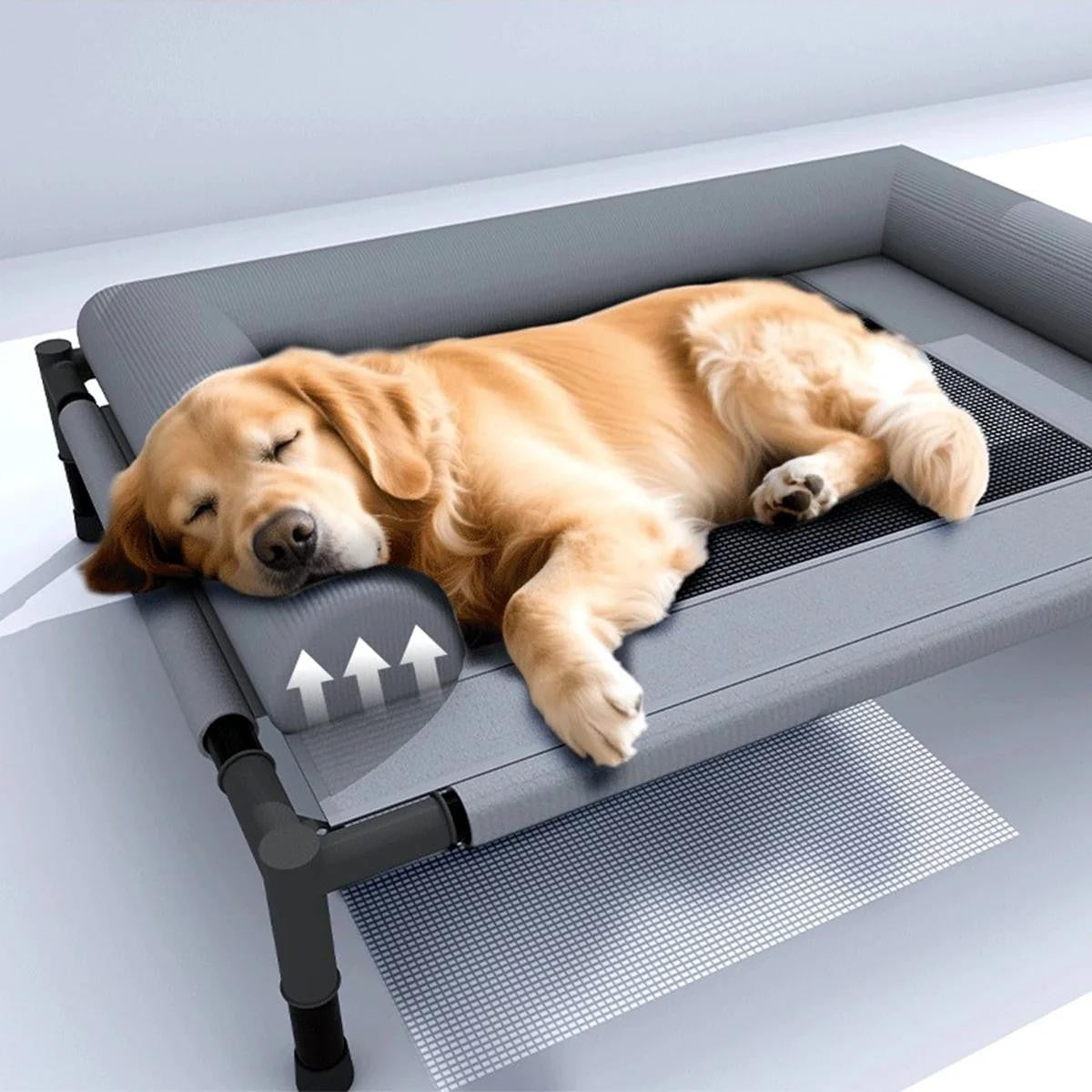 Cama Pet Elevada CampCushion