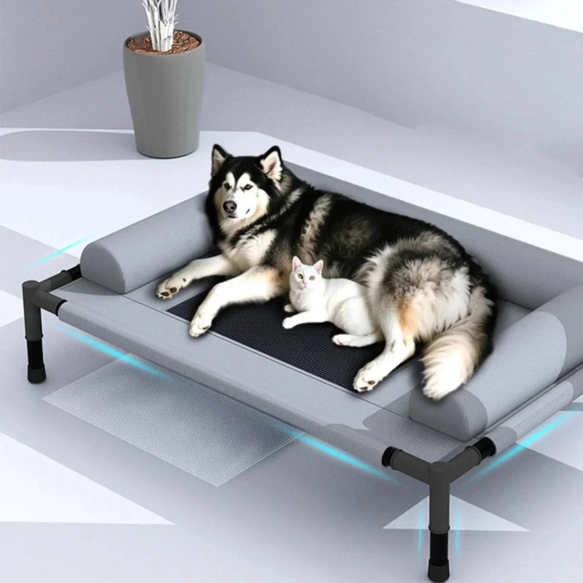 Cama Pet Elevada CampCushion