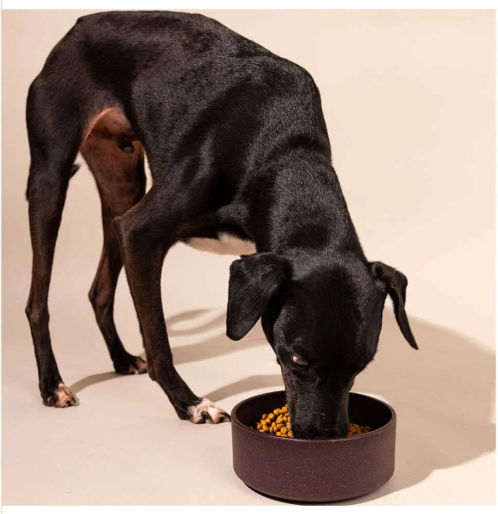 Comedouro Meau de Bambu Bordô para Cães