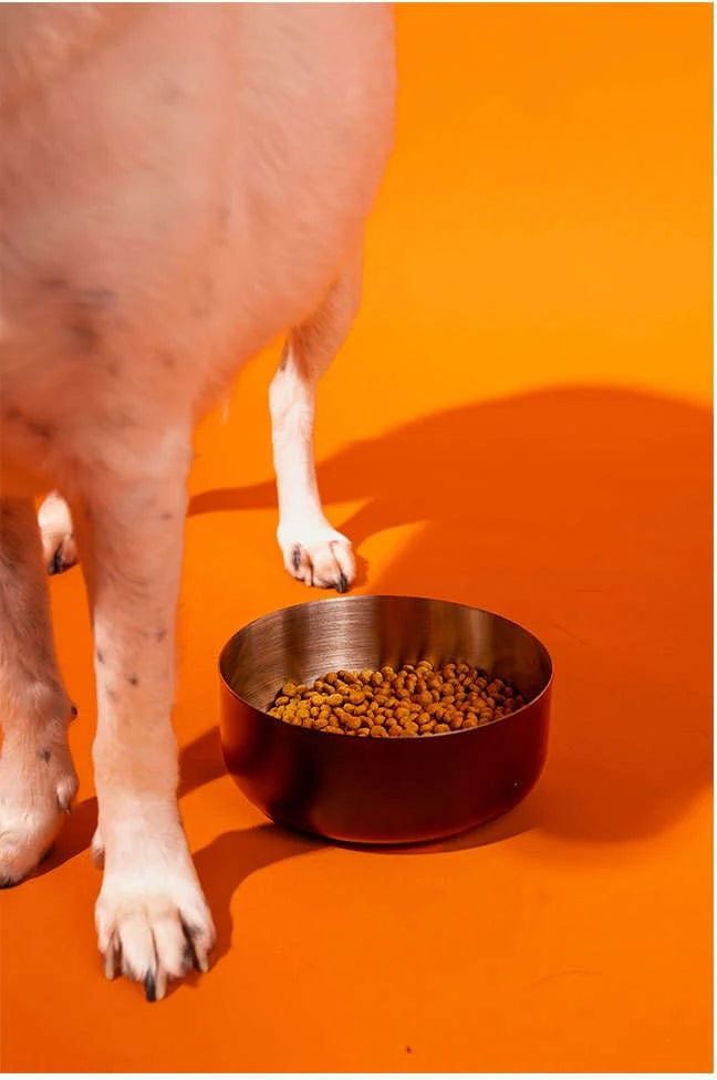 Comedouro Antiderrapante Meau para Cães