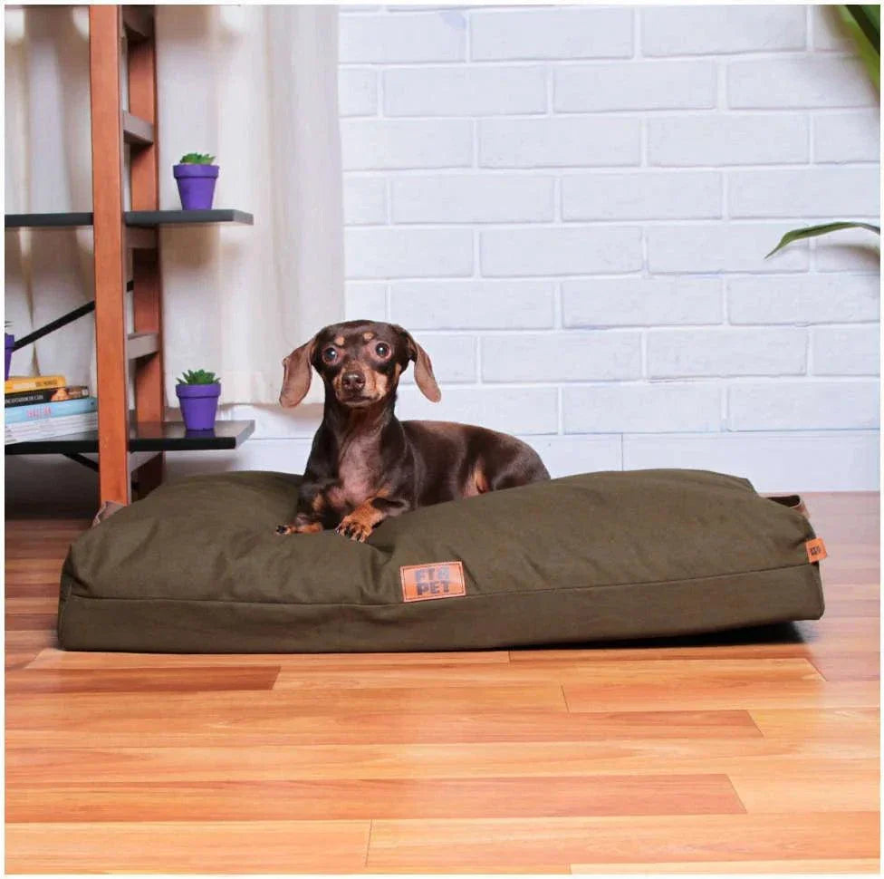 Almofadão Future Pet Lisboa Verde