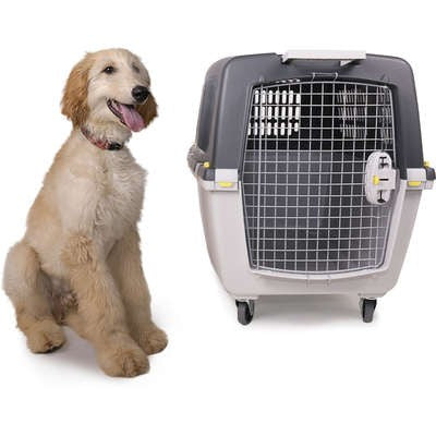 Caixa de Transporte Gulliver Cinza